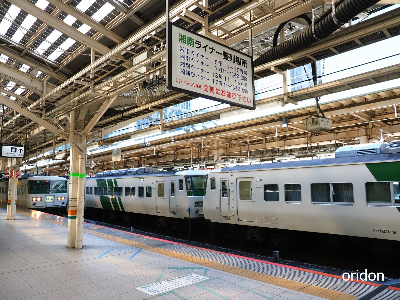 185系湘南ライナー東京到着 Railrailrail 毎日鉄道写真とともに