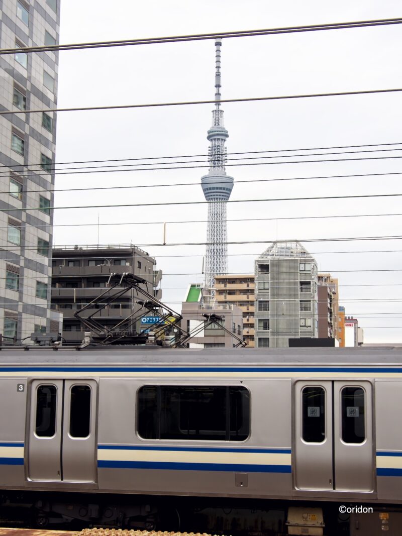 E217系 スカイツリーの見える錦糸町の電留線に佇む Railrailrail